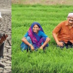 How Biplab Ketan Paul converted 40,000 acres of drought-stricken land into productive farms